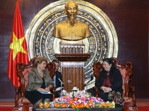 越南国会副主席丛氏放与联合国儿童基金会驻越首席代表洛塔·斯兰德尔